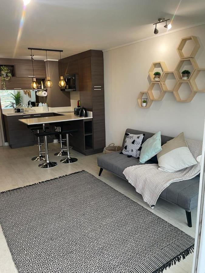 Departamento De Lujo Estacionamiento Privado Y Cocina Integral Apartman Vina del Mar Kültér fotó